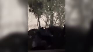 学生户外做爱大合集天台花坛教室餐厅厕所小树林等各种场所